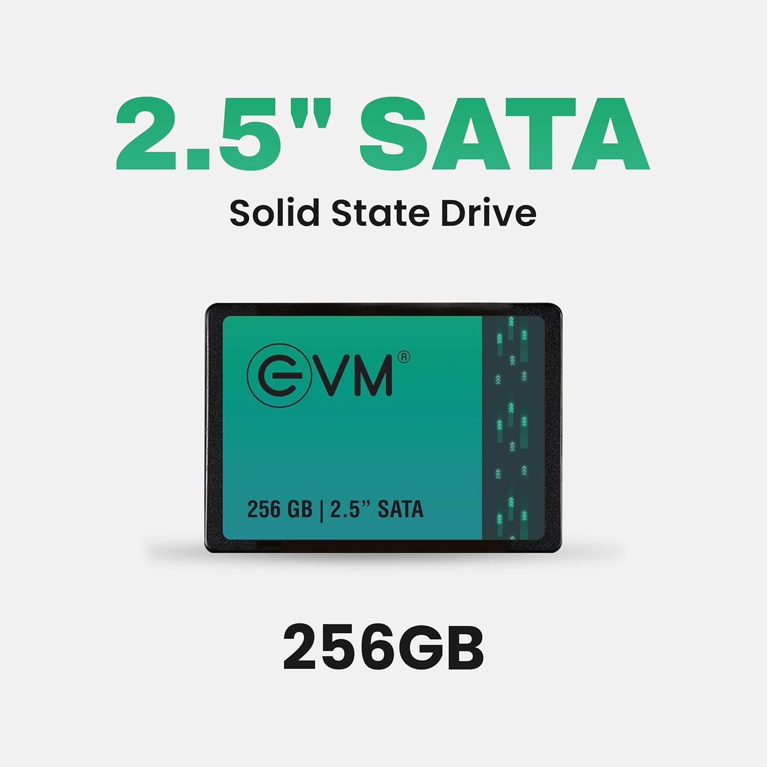 EVM | 2.5" SATA III Internal SSD | EVM25/256GB | 256GB | Up to 550MB/s | 5 Years Warranty