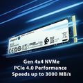 Kingston 250GB M.2 NVMe SSD Refurbished | PCIe Internal Solid State Drive | High-Speed Storage Upgrade
